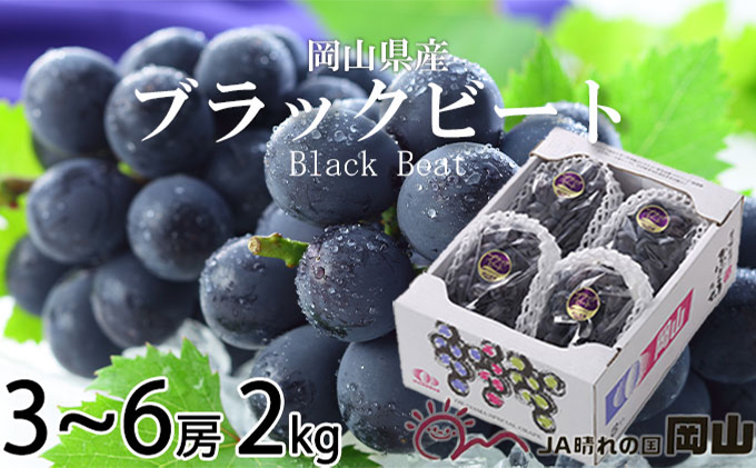 ぶどう 2026年 先行予約 ブラックビート 約2kg 3房～6房 ブドウ 葡萄  岡山県産 国産 フルーツ 果物 ギフト 岡山のブドウ デザート 食べ物 日本産