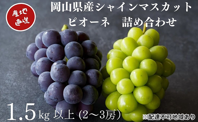 厳選 シャインマスカット・ニューピオーネ 2～3房 合計1.5kg以上 詰合せ 産地直送 朝採れ ぶどう 葡萄 Kawahara Green Farm 岡山県産 2026年 果物 フルーツ 人気 甘い セット
