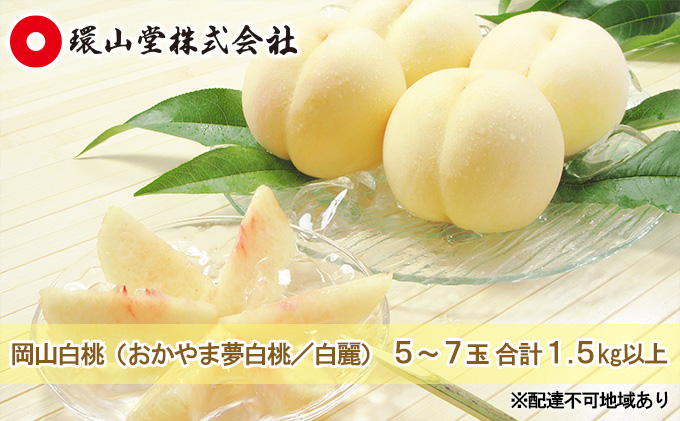 桃 2026年 先行予約 岡山 白桃（品種：おかやま夢白桃／白麗）5～7玉 合計1.5kg以上 もも モモ 岡山県産 国産 フルーツ 果物 ギフト 環山堂
