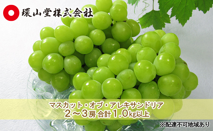 ぶどう 2026年 先行予約 マスカット・オブ・アレキサンドリア 2～3房 合計1.0kg以上 マスカット ブドウ 葡萄  岡山県産 国産 フルーツ 果物 ギフト 環山堂