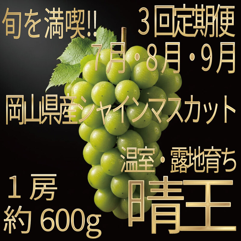 [HS]【定期便全3回】ぶどう先行予約7月・8月・9月発送温室シ