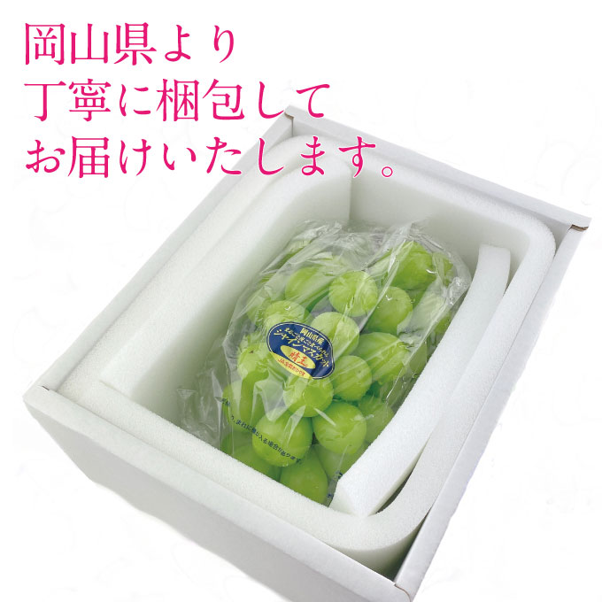 【定期便 全2回】ぶどう 2026年 先行予約 9月・10月発送 シャインマスカット 晴王 1房 約750g ブドウ 葡萄 岡山県産 国産 フルーツ 果物 ギフト