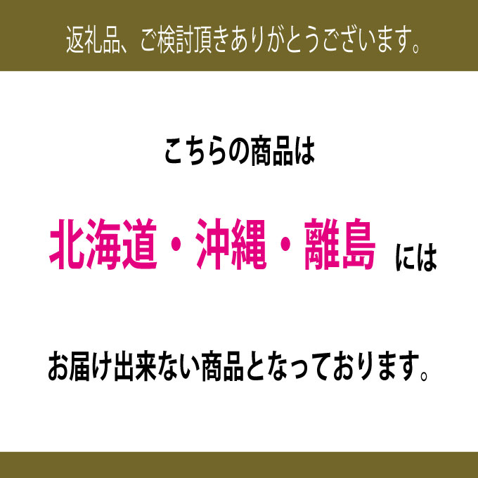 【定期便 全2回】ぶどう 2026年 先行予約 9月・10月発送 高級品 シャインマスカット 晴王 1房 約700g ブドウ 葡萄 岡山県産 国産 フルーツ 果物 ギフト