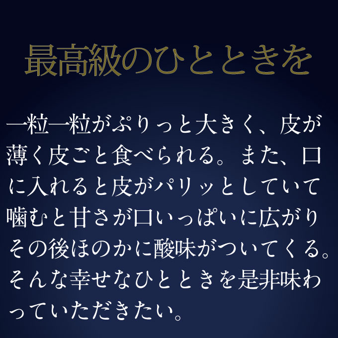【定期便 全2回】ぶどう 2026年 先行予約 9月・10月発送 高級品 シャインマスカット 晴王 1房 約700g ブドウ 葡萄 岡山県産 国産 フルーツ 果物 ギフト