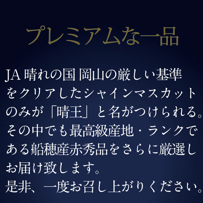 【定期便 全2回】ぶどう 2026年 先行予約 9月・10月発送 高級品 シャインマスカット 晴王 2房 合計約1.4kg ブドウ 葡萄 岡山県産 国産 フルーツ 果物 ギフト