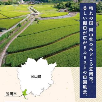 【令和5年7月発送】令和4年産 30kg 「備中笠岡ふるさと米」---R4-30k-R0507---