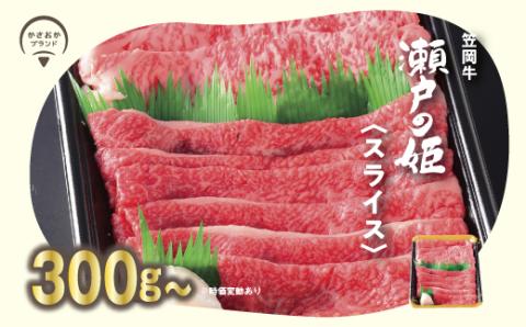 瀬戸の姫（スライス）《45日以内に出荷予定(土日祝除く)》---A-10---