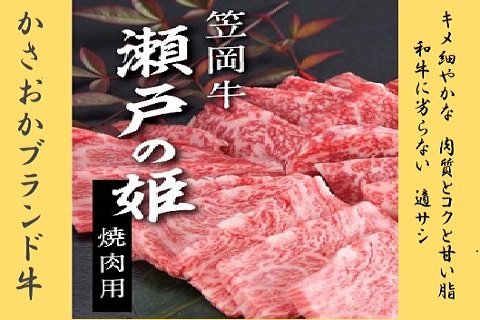 瀬戸の姫（焼肉用）《45日以内に出荷予定(土日祝除く)》---B-07---