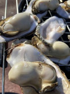 笠岡産殻付き牡蠣4kg（3月発送）---A-57-3---