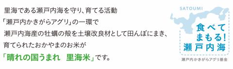 【瀬戸内海保護】里海米3パック（計6kg）無洗米　長期保存可《45日以内に出荷予定(土日祝除く)》---A-154e---