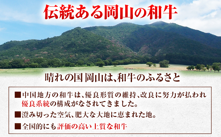 A5等級 黒毛和牛 サーロインステーキ 約400g 有限会社ホーティカルチャー神島《30日以内に出荷予定(土日祝除く)》岡山県 笠岡市 ステーキ サーロイン【配送不可地域あり】---H-92---