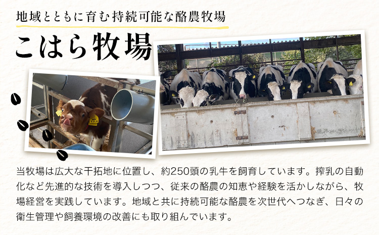 体験 牧場 食と命のつながりを感じるリアル牧場体験 ～ こはら牧場 in 笠岡湾干拓地 ～ 《30日以内に出荷予定(土日祝を除く)》株式会社こはら 岡山県 笠岡市 牛 乳牛 酪農 学習---K-71---