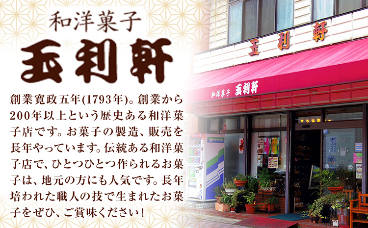 もち麦カステラ 2本 株式会社玉利軒《45日以内に出荷予定(土日祝除く)》岡山県 笠岡市 カステラ もち麦 お土産 和菓子 手土産 送料無料---T-09---