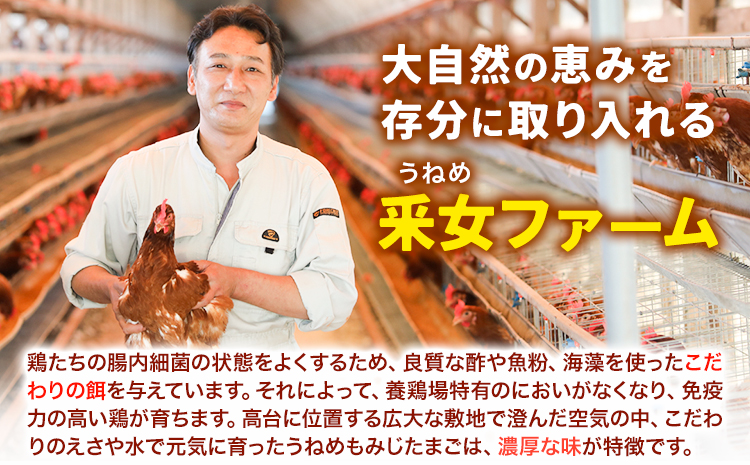 うねめもみじたまごとマヨネーズセット たまご約60個 マヨネーズ3本(250g/本) 采女ファーム 《45日以内に出荷予定(土日祝除く)》岡山県 笠岡市 たまご 卵 鶏卵 マヨネーズ セット TKG 送料無料---B-10---