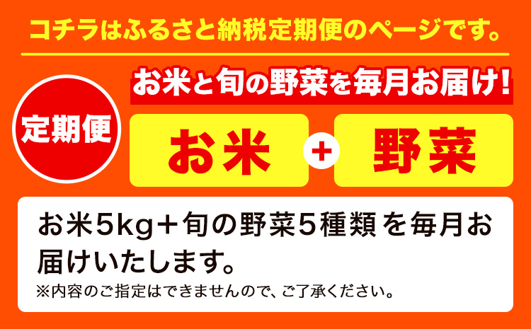 【12ヶ月定期便】ふるさとフレッシュ便 米 5kg 野菜 5種 JA晴れの国岡山 笠岡アグリセンター 米5kg 旬の野菜5種類 笠岡ふるさと米 野菜 送料無料 岡山県 笠岡市《お申込月の翌月より発送※12月15日以降のお申込みは2月初回発送》---E-03---