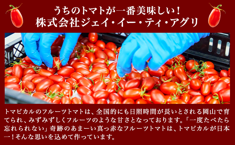 トマト ジュース トマトジュース トマピカル ネクター フルーツトマト 350ml 1本 株式会社ジェイ・イー・ティ・アグリ《30日以内に出荷予定(土日祝除く)》岡山県 笠岡市 送料無料 トマピカルネクター ソフトドリンク 野菜 野菜ジュース---J-01---