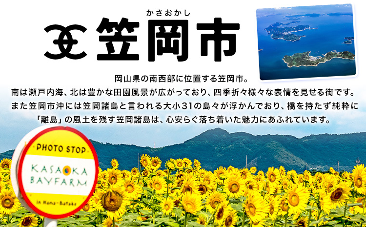 岡山県 笠岡市 応援寄附 1口 1000円【返礼品なし】千円以下 1000円以内 三千円以下 3000円以内---gift-none---