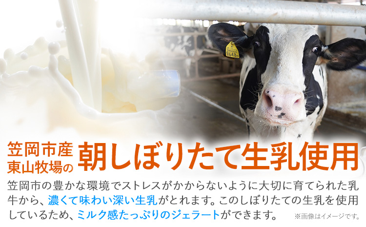 ひまわりの種ジェラート 30個セット 笠岡ジェラート工房ハッピーのカップアイス 《45日以内に出荷予定(土日祝除く)》ジェラート アイス アイスクリーム ミルク ヒマワリの種 デザート---H-13---