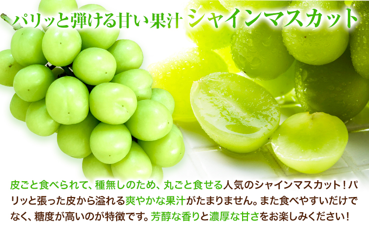 【2026年発送先行予約】岡山県産 冷蔵シャインマスカット (1房540g以上2房入り) 《2026年11月下旬-12月中旬頃出荷》【配送不可地域あり】---H-28b---