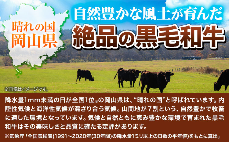 牛肉 肉 黒毛和牛 切り落とし 訳あり 大容量 小分け【定期便】 2kg 1パック 250g 3回 《お申込月の翌月より発送》岡山県産 岡山県 笠岡市 お肉 にく カレー 牛丼 切り落し 切落し 黒毛和牛 牛肉 黒毛和牛 牛肉 黒毛和牛 牛肉 黒毛和牛 牛肉 黒毛和牛 牛肉 黒毛和牛 牛肉 黒毛和牛 ---kasaoka_zsytei_123_2kg---