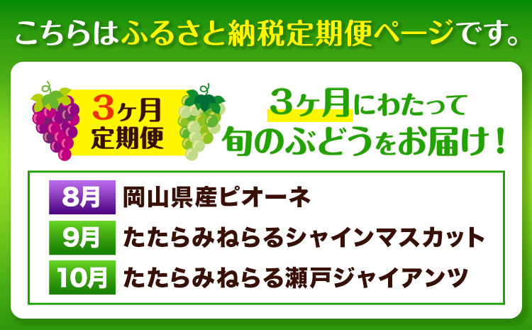 【先行予約】3ヶ月 定期便 食べ比べセット たたらみねらる シャインマスカット 瀬戸ジャイアンツ ピオーネ 各1房《2026年8月下旬-10月下旬頃出荷予定》岡山県 笠岡市 マスカット ぶどう ブドウ 葡萄 フルーツ 果物 たたらみねらる 食べ比べ セット---Y-08---