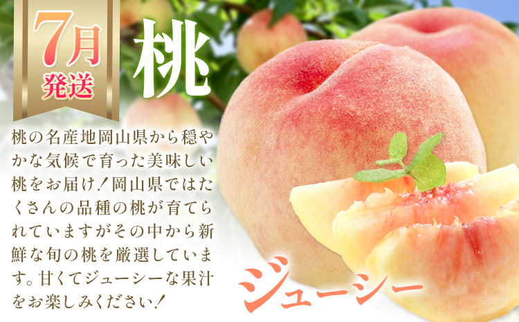 【2026年発送先行予約】ぶどう 桃 梨 3ヶ月 定期便 岡山 の 果物 3種 食べ比べ 計4.1kg 晴れの国おかやま館(漂流岡山)《2026年7月上旬-11月下旬頃出荷》岡山県 笠岡市 桃 もも マスカット シャインマスカット 梨 あたご梨 果物【配送不可地域あり】（離島）---H-51---