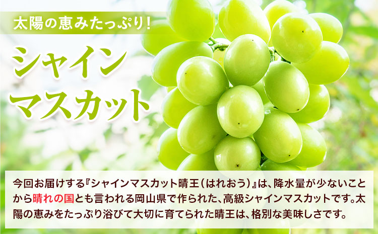 【2026年先行予約】シャインマスカット 晴王 はれおう 2房(1房600g以上) 約1kg 化粧箱入 株式会社山博《2026年8月下旬-10月下旬頃出荷》岡山県 笠岡市 晴王 ぶどう マスカット 大粒 果物 国産 送料無料【配送不可地域あり】---Y-28---