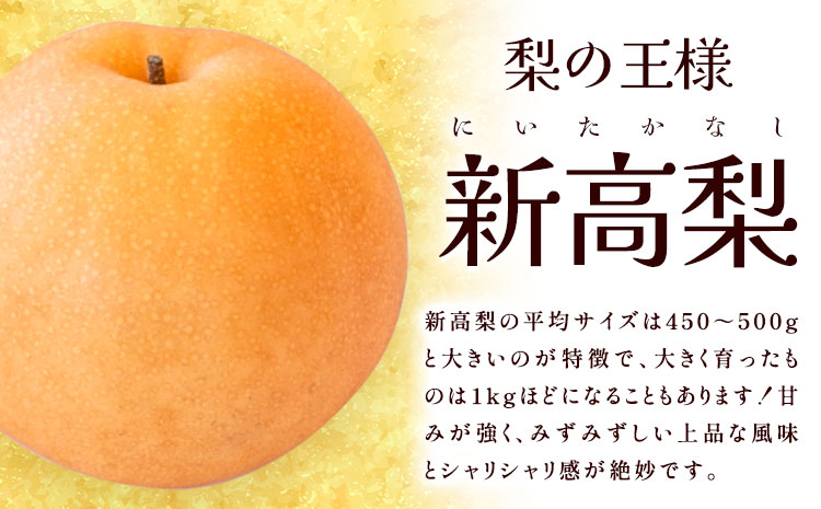 梨 岡山県産 新高梨 約4kg 3~6玉 株式会社山博《2026年9月下旬-11月上旬頃出荷》新高 フルーツ 化粧箱入り 岡山県 笠岡市 送料無料---Y-36a---