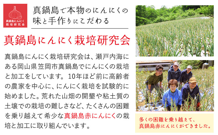 真鍋島赤にんにくしょうゆ漬とにんにく卵黄のセット 真鍋島にんにく栽培研究会《45日以内に出荷予定(土日祝除く)》---A-192---