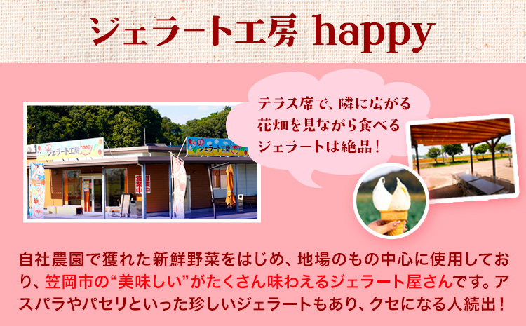 愛す家族 カップアイス 30個入り 選べるフレーバー 笠岡ジェラート 工房ハッピーのカップアイス ハッピー＆甲和株式会社 ジェラート アイス ミルク たたらシャインマスカット 清水白桃 いちご アスパラガス プチトマト 瀬戸内バナナ マンゴー パセリ 岡山県 笠岡市---C-05---