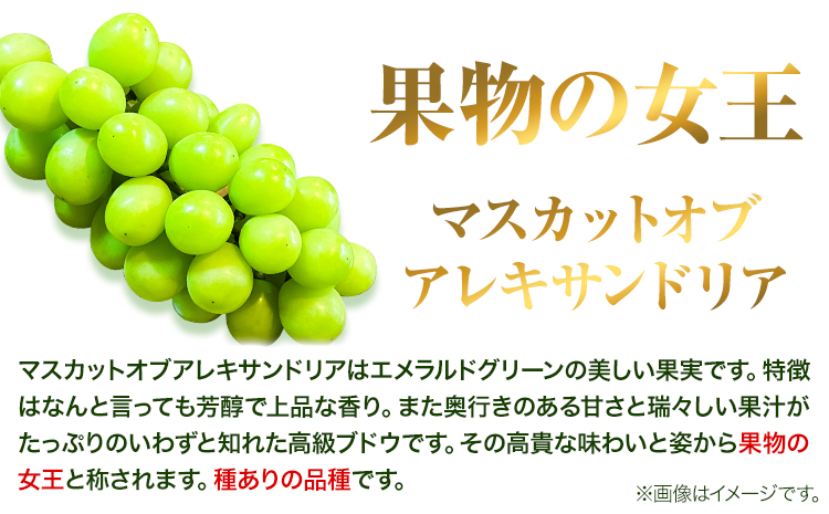 岡山県産マスカット（マスカット オブ アレキサンドリア　1房750g以上）令和8年産先行受付《7月中旬-8月下旬頃出荷》【配送不可地域あり】---H-27b---