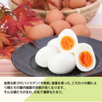 うねめもみじたまご 約80個程度《45日以内に出荷予定(土日祝除く)》---A-12---