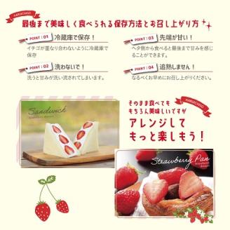 【先行受付】しあわせ届けるいちご農園HappyComeComeの晴苺(はれいちご)450ｇハレの日に晴苺(はれいちご)〈2024年12月中旬から発送開始予定〉---B-90a---