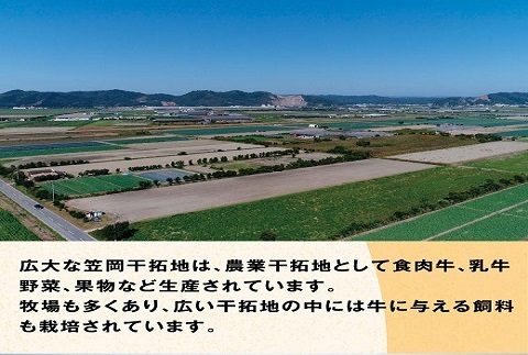 瀬戸の姫（焼肉用）《45日以内に出荷予定(土日祝除く)》---B-07---