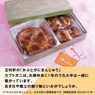 かぶとがにまんじゅう詰合せ《45日以内に出荷予定(土日祝除く)》---T-10---