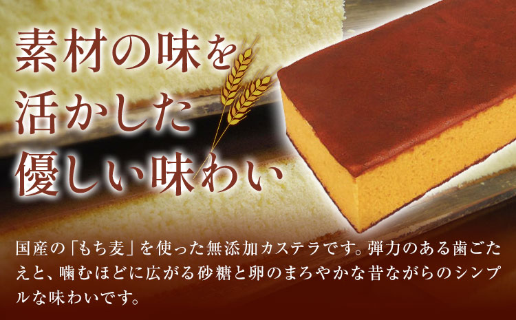 もち麦カステラ 1本 株式会社玉利軒《30日以内に出荷予定(土日祝除く)》岡山県 笠岡市 カステラ もち麦 お土産 和菓子 手土産 送料無料---T-37---