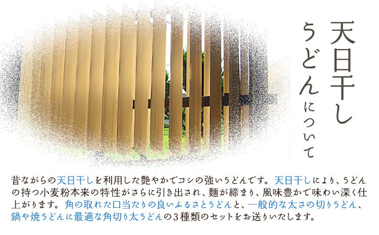 瀬戸の「天日干しうどん」《45日以内に出荷予定(土日祝除く)》---A-58---