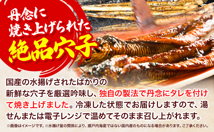焼き穴子 約800g 笠岡魚市場《45日以内に出荷予定(土日祝除く)》岡山県 笠岡市 穴子 海鮮 魚 お魚---B-04---