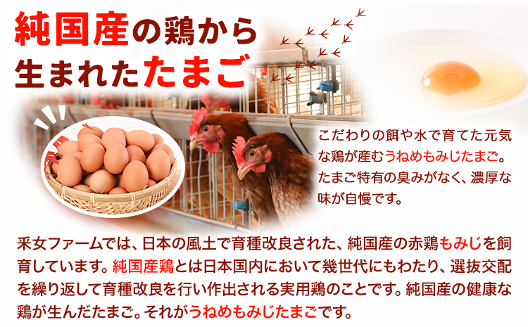 うねめもみじたまごとマヨネーズセット たまご約60個 マヨネーズ3本(250g/本) 采女ファーム 《45日以内に出荷予定(土日祝除く)》岡山県 笠岡市 たまご 卵 鶏卵 マヨネーズ セット TKG 送料無料---B-10---