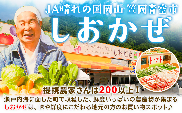 【12ヶ月定期便】ふるさとフレッシュ便 米 5kg 野菜 5種 JA晴れの国岡山 笠岡アグリセンター 米5kg 旬の野菜5種類 笠岡ふるさと米 野菜 送料無料 岡山県 笠岡市《お申込月の翌月より発送※12月15日以降のお申込みは2月初回発送》---E-03---