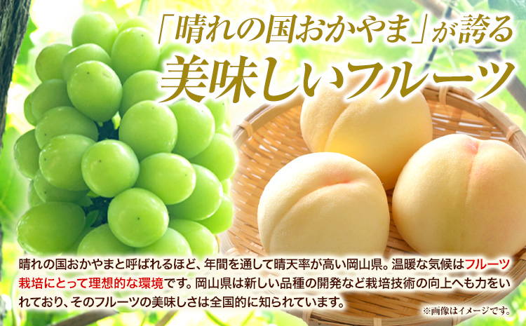家庭用つる付きシャインマスカット 2房(1房530g以上)【配送不可地域あり】有限会社ホーティカルチャー神島 令和8年産先行受付《9月上旬-10月下旬頃出荷》岡山県 笠岡市 送料無料 葡萄 フルーツ 果物 シャインマスカット つる付き お取り寄せフルーツ---H-31b---