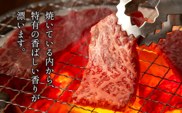 カルビ 1.3kg 数量限定 牛肉 冷凍 黒毛和牛 切り落とし 《30日以内に出荷予定(土日祝除く)》 個別 取分け 小分け 個包装 赤身 カルビ 岡山県 笠岡市 牛 牛肉 和牛 焼肉 焼き肉 小分けパック 325g 送料無料---223_f1204_30d_25_27000_13---