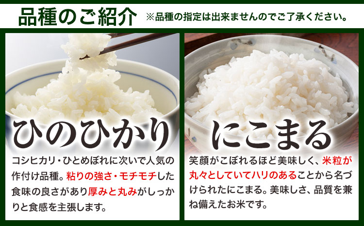 【令和8年1月発送】【先行予約】令和7年産 10kg 米 予約 ふるさと米 備中笠岡 人気品種をお届け！ 国産 ヒノヒカリ にこまる きぬむすめ お米 ブランド米 おにぎり 弁当 単一原料米 お取り寄せ 送料無料 岡山県産---R7-10k-R0801-22000---