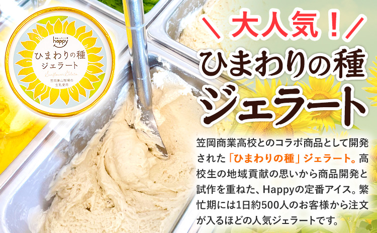 ひまわりの種ジェラート 30個セット 笠岡ジェラート工房ハッピーのカップアイス 《45日以内に出荷予定(土日祝除く)》ジェラート アイス アイスクリーム ミルク ヒマワリの種 デザート---H-13---
