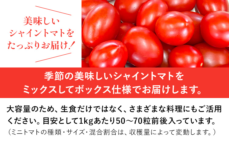 シャイントマト 500g シャイントマトファーム《12月上旬-6月中旬頃出荷》岡山県 笠岡市 送料無料 トマト 野菜 ミニトマト【配送不可地域あり】---S-24---