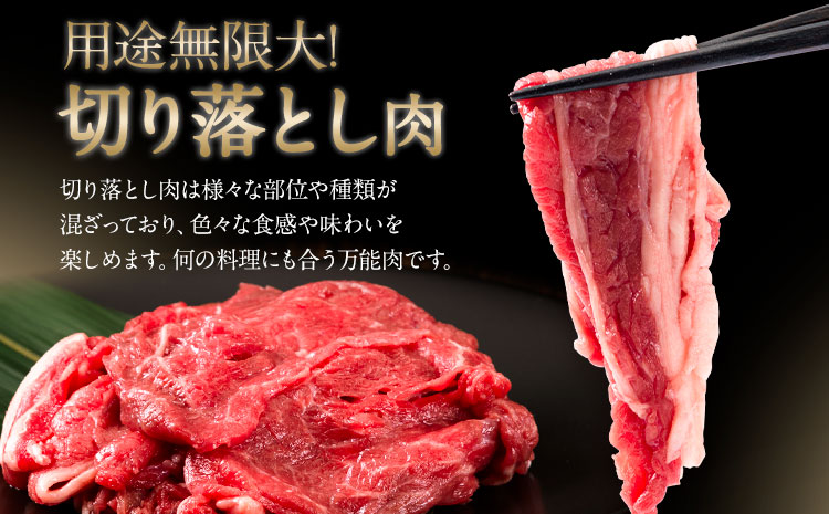 牛肉 肉 おつかれママ牛 ホルスタイン 牛肉セット ホルスタイン牛肉 切り落とし 500g×2 1kg 株式会社こはら《60日以内に出荷予定(土日祝除く)》岡山県産 岡山県 笠岡市 切り落とし肉 セット---K-23b---