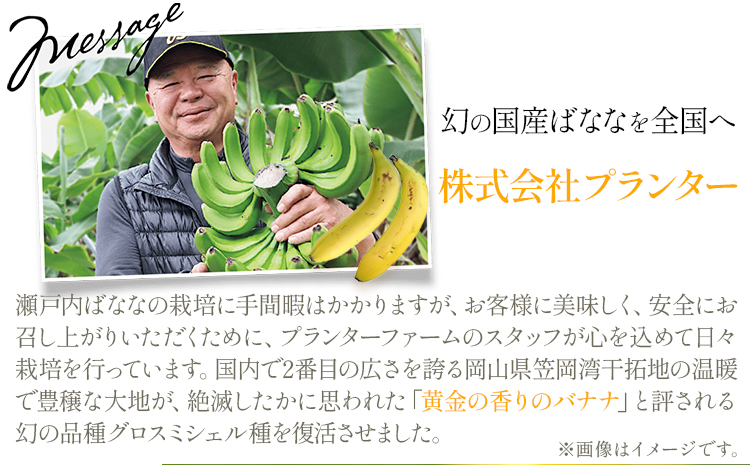 MUSA 体おもいのデザート スプレッド 2個 (糀まっちゃ＋糀まっちゃ)  株式会社プランター 《30日以内に出荷予定(土日祝除く)》糀 抹茶 カカオ バナナ お菓子 パン---P-01-MM---