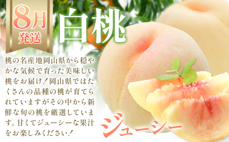 【2026年発送先行予約】ぶどう 白桃 2ヶ月 定期便 岡山 の 白桃 と シャインマスカット 計4kg 晴れの国おかやま館(漂流岡山)《2026年8月下旬-9月下旬頃出荷》岡山県 笠岡市 桃 もも マスカット シャインマスカット 果物【配送不可地域あり】（離島）---H-52---