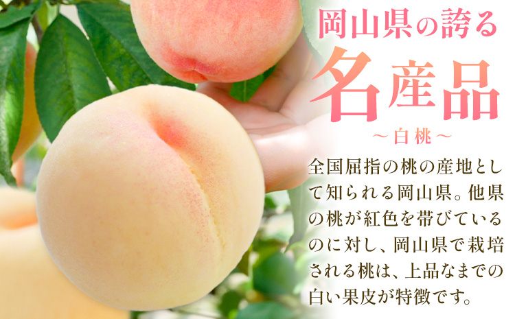 【2026年発送先行予約】桃 3ヶ月 計10回 定期便 岡山 の 桃 十撰 10種 各1kg 計10kg 晴れの国おかやま館(漂流岡山)《2026年7月中旬-9月下旬頃出荷》岡山県 笠岡市 桃 もも 果物 フルーツ デザート 送料無料 【配送不可地域あり】（離島）---H-53---