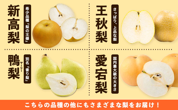 【先行予約】秀品 岡山県産 旬の 梨 約2.5kg 2~6玉前後 梨 秀品 新高 愛宕 スイーツ フルーツ デザート 旬 岡山県 笠岡市《9月上旬-1月末頃に出荷予定》---kasaoka_zsy_47_25---